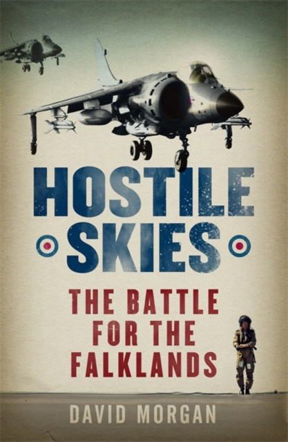 E-knjiga Hostile Skies David Morgan