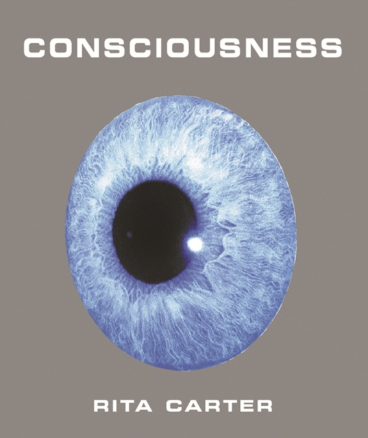 E-kniha Consciousness Rita Carter