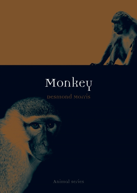 E-knjiga Monkey Morris Desmond Morris