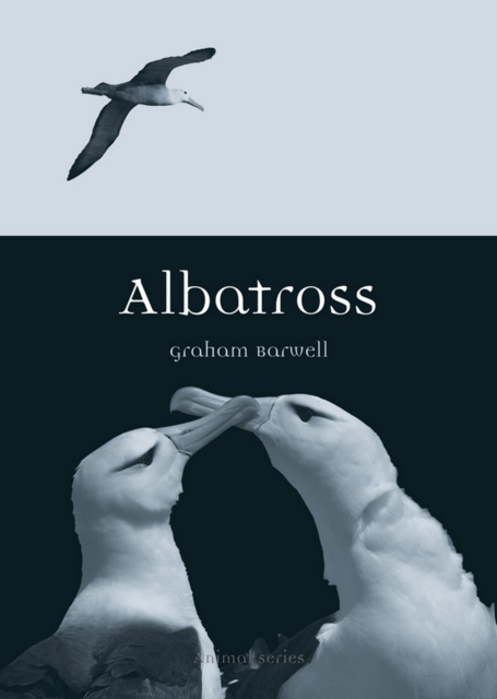 E-knjiga Albatross Barwell Graham Barwell