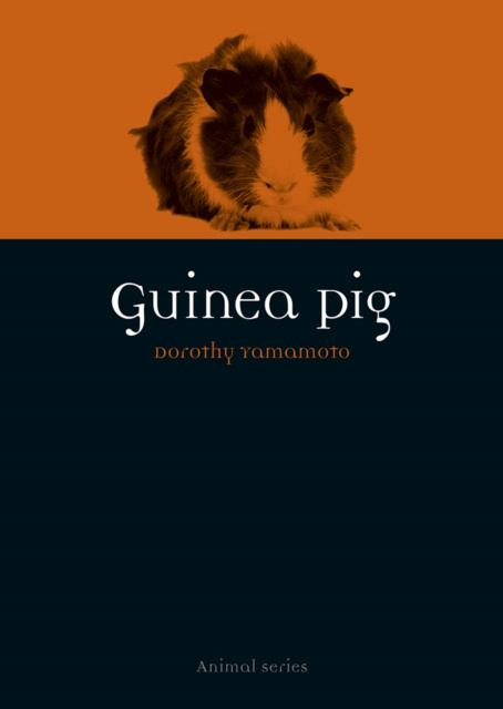 E-Book Guinea Pig Yamamoto Dorothy Yamamoto