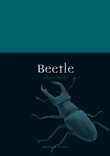 E-knjiga Beetle Dodd Adam Dodd