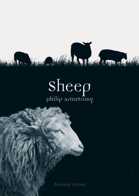 E-kniha Sheep Armstrong Philip Armstrong