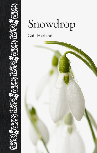 E-knjiga Snowdrop Harland Gail Harland