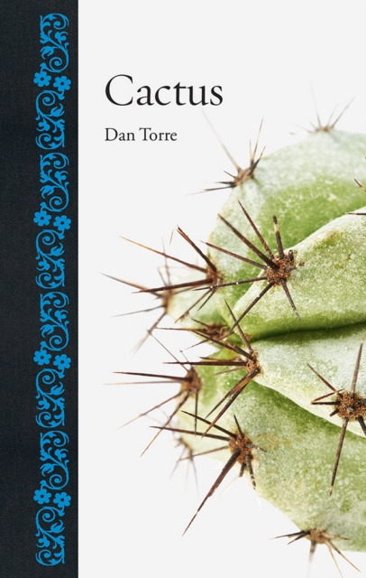 E-knjiga Cactus Torre Dan Torre