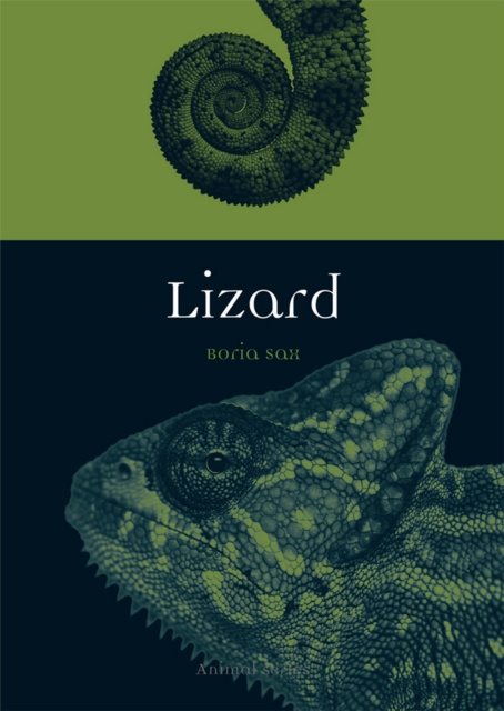 E-knjiga Lizard Sax Boria Sax