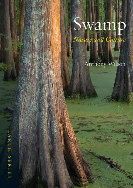 E-knjiga Swamp Wilson Anthony Wilson