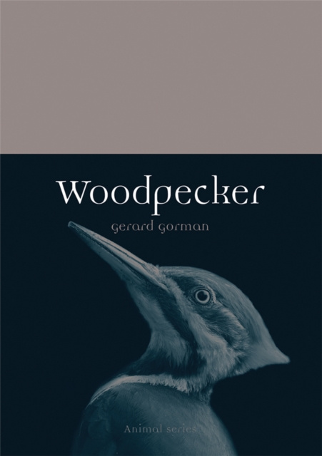 E-knjiga Woodpecker Gorman Gerard Gorman