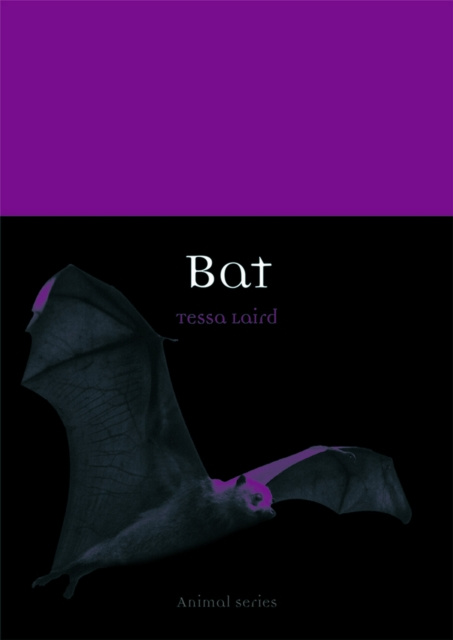 E-knjiga Bat Laird Tessa Laird