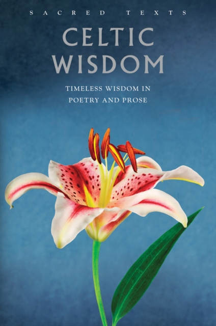 E-book Celtic Wisdom Gerald Benedict