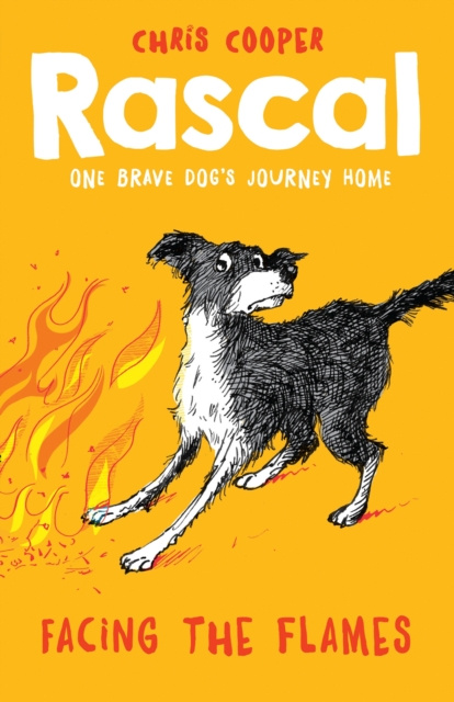 E-knjiga Rascal: Facing the Flames (Rascal) Chris Cooper