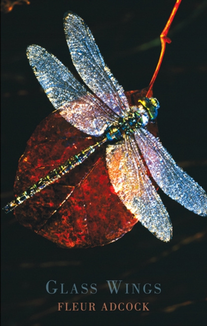 E-knjiga Glass Wings Fleur Adcock