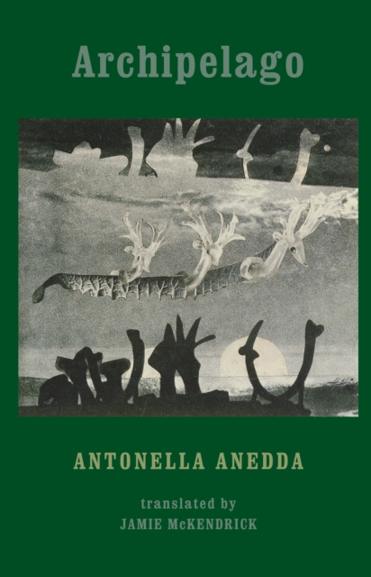 E-book Archipelago Antonella Anedda