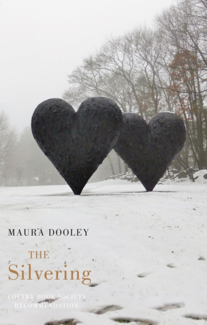 E-Book Silvering Maura Dooley