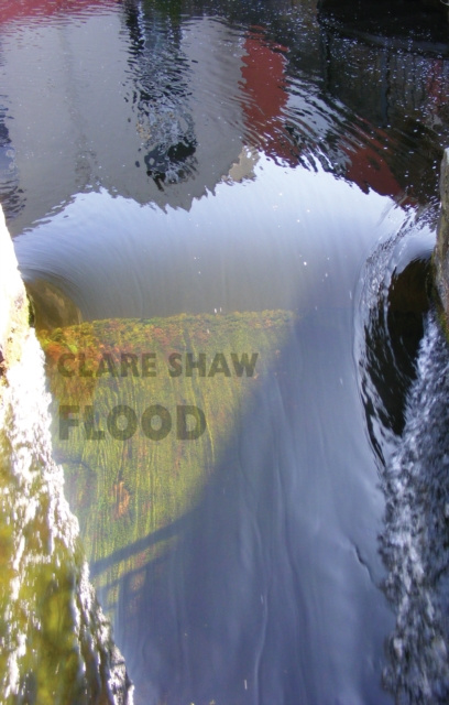 E-knjiga Flood Clare Shaw