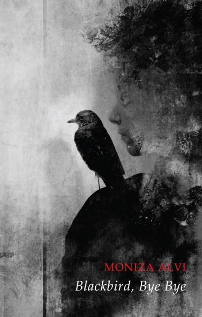 E-kniha Blackbird, Bye Bye Moniza Alvi