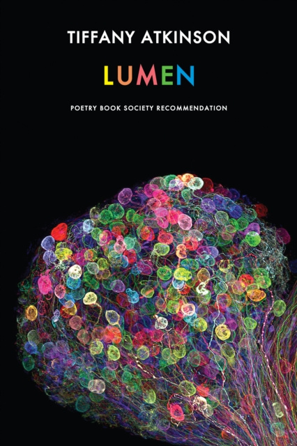 E-knjiga Lumen Tiffany Atkinson