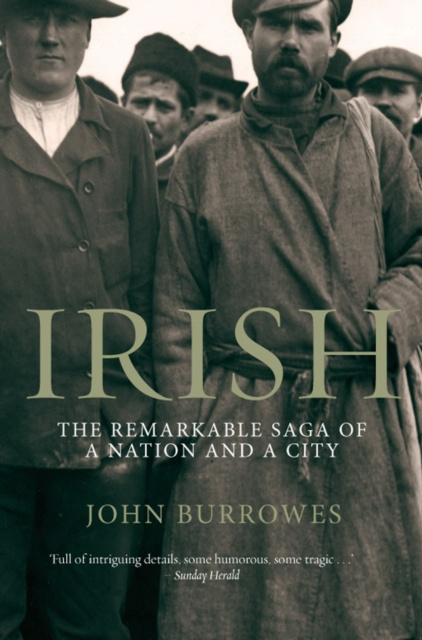 E-book Irish John Burrowes