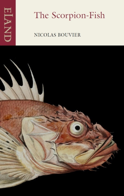 E-knjiga Scorpion-Fish Nicolas Bouvier