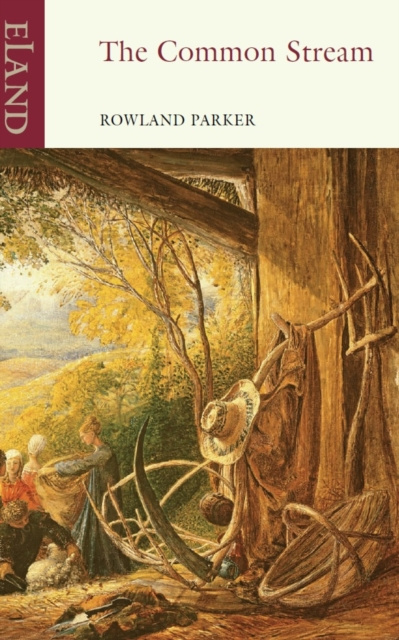 E-knjiga Common Stream Rowland Parker