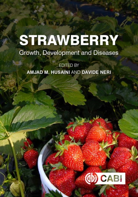 E-book Strawberry Amjad M. Husaini