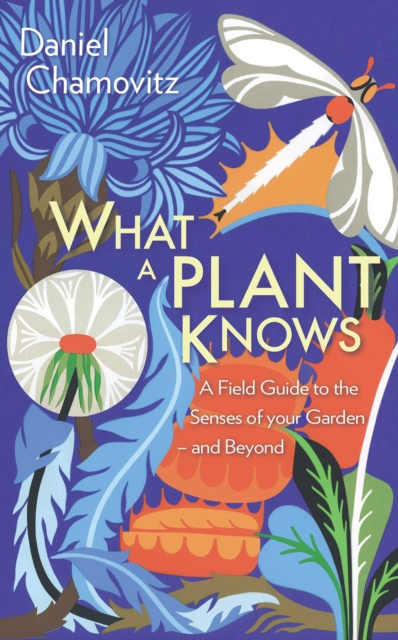 E-kniha What a Plant Knows Daniel Chamovitz