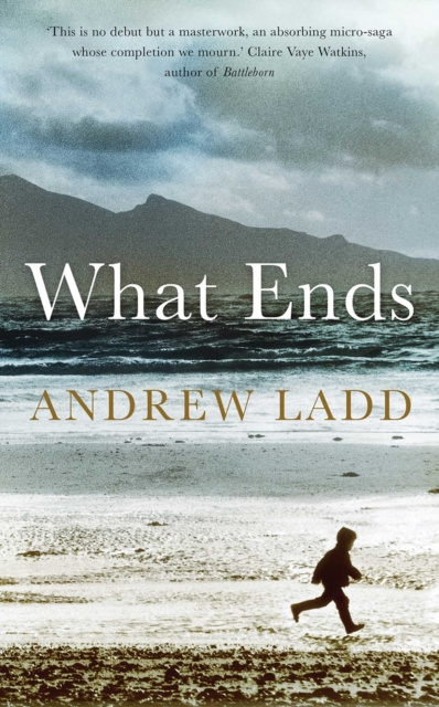 E-book What Ends Andrew Ladd