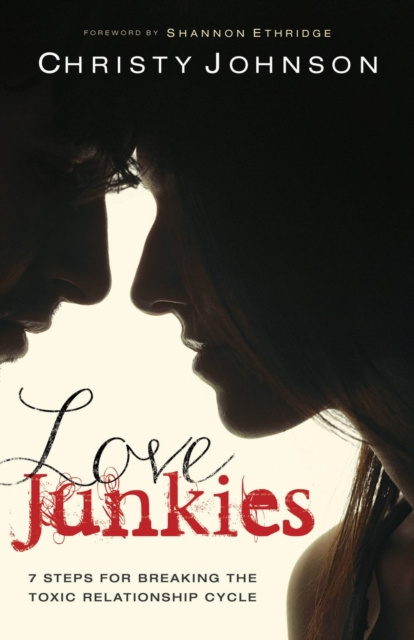 E-knjiga Love Junkies Christy Johnson
