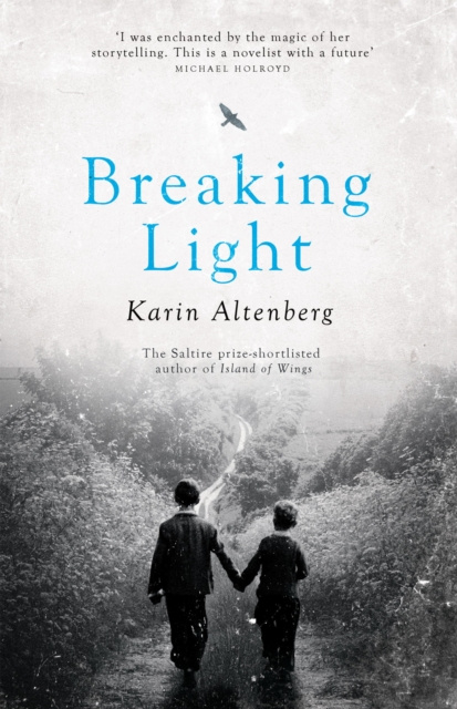 E-knjiga Breaking Light Karin Altenberg