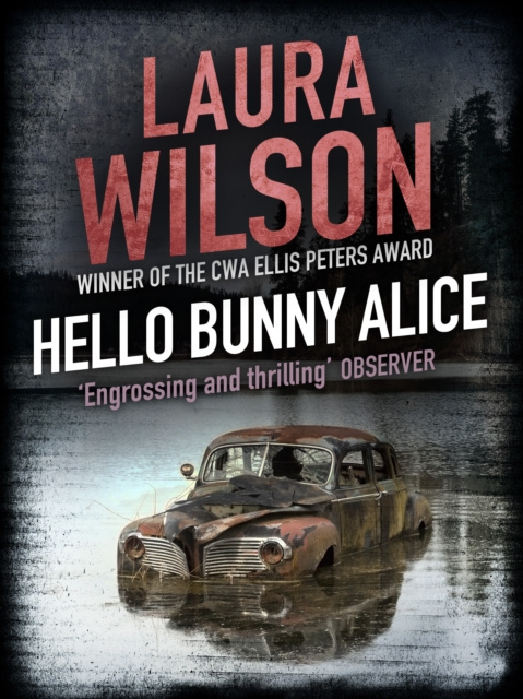 E-kniha Hello Bunny Alice Laura Wilson