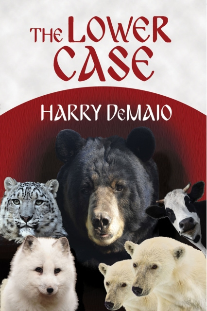 E-knjiga Lower Case Harry DeMaio