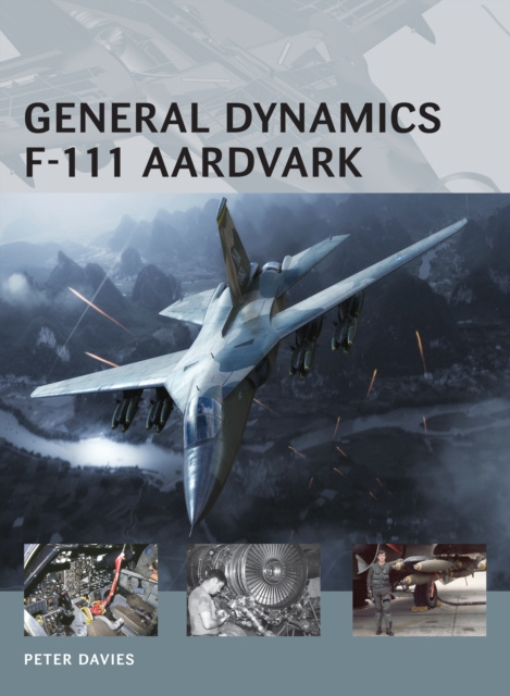 E-book General Dynamics F-111 Aardvark Davies Peter E. Davies