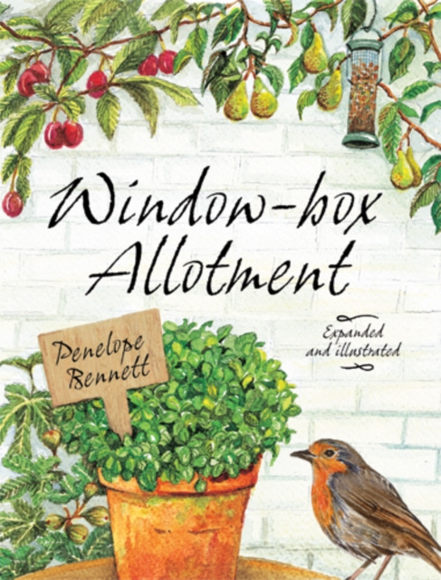 E-knjiga Window-box Allotment Penelope Bennett