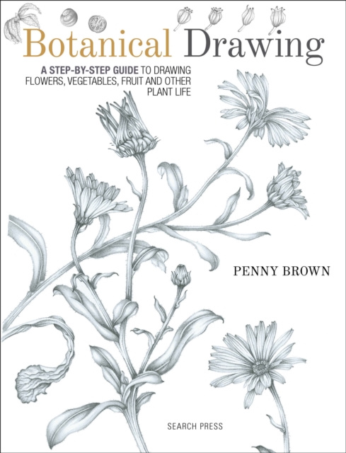 E-book Botanical Drawing Penny Brown