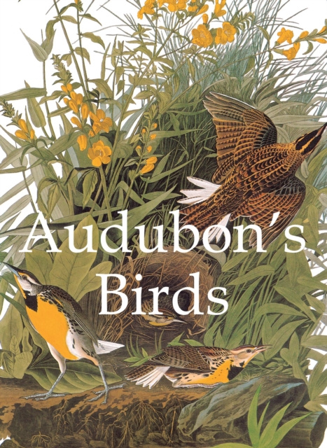 E-book Audubon's Birds John James Audubon