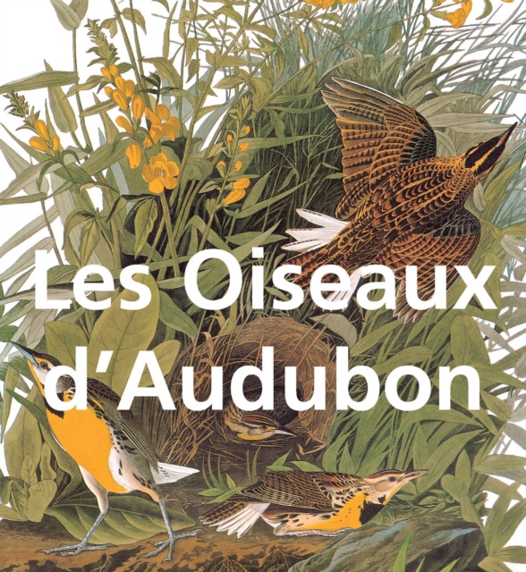 E-kniha Les Oiseaux d'Audubon John James Audubon