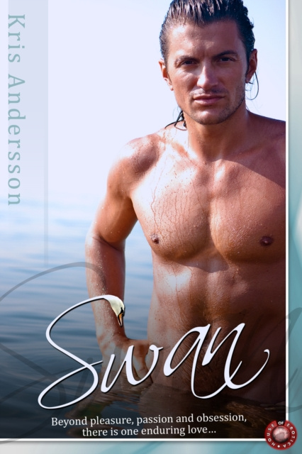 E-knjiga Swan Kris Andersson