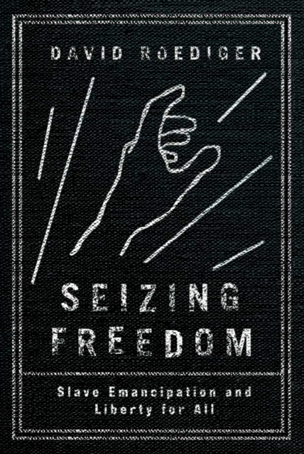 E-Book Seizing Freedom David Roediger