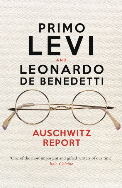 E-kniha Auschwitz Report Primo Levi