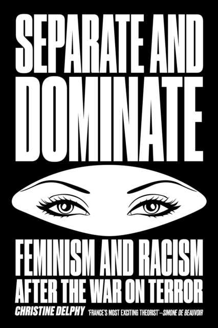 E-book Separate and Dominate Christine Delphy
