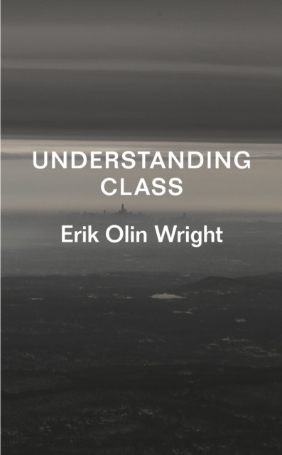 E-knjiga Understanding Class Erik Olin Wright