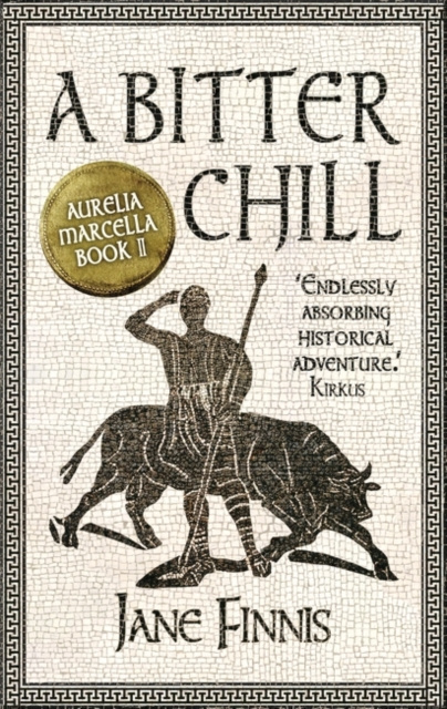 E-book Bitter Chill Jane Finnis