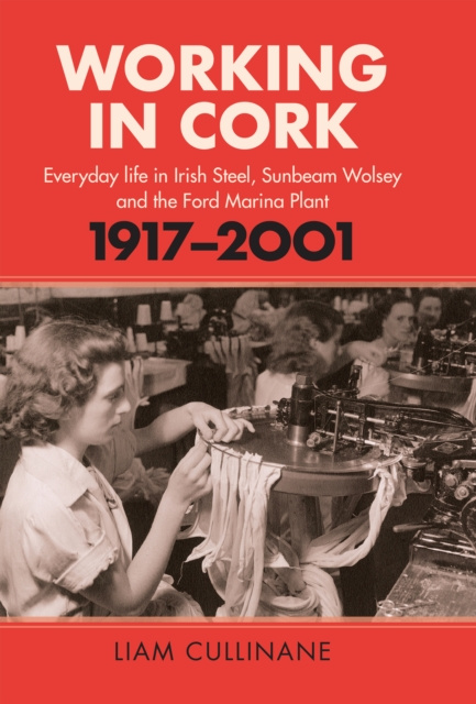 E-Book Working in Cork Liam Cullinane