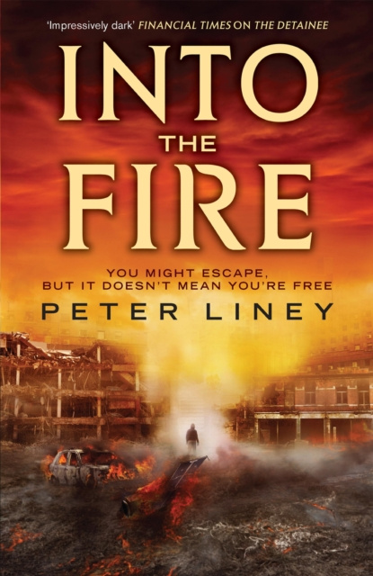 E-knjiga Into The Fire Peter Liney