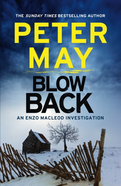 E-knjiga Blowback Peter May