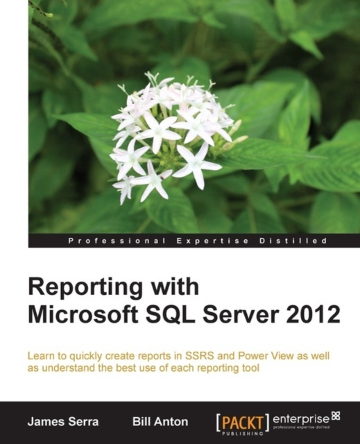 E-knjiga Reporting with Microsoft SQL Server 2012 James Serra