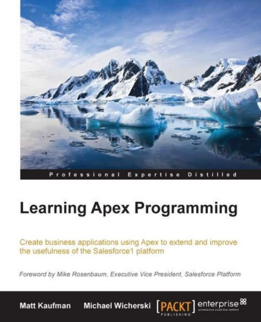E-knjiga Learning Apex Programming Matt Kaufman