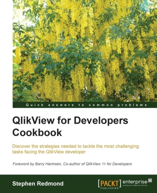 E-book QlikView for Developers Cookbook Stephen Redmond