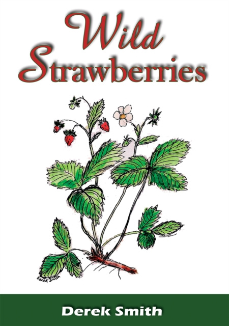 E-knjiga Wild Strawberries Derek Smith