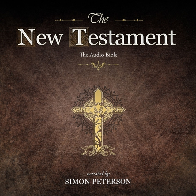 Audiobook New Testament Simon Peterson